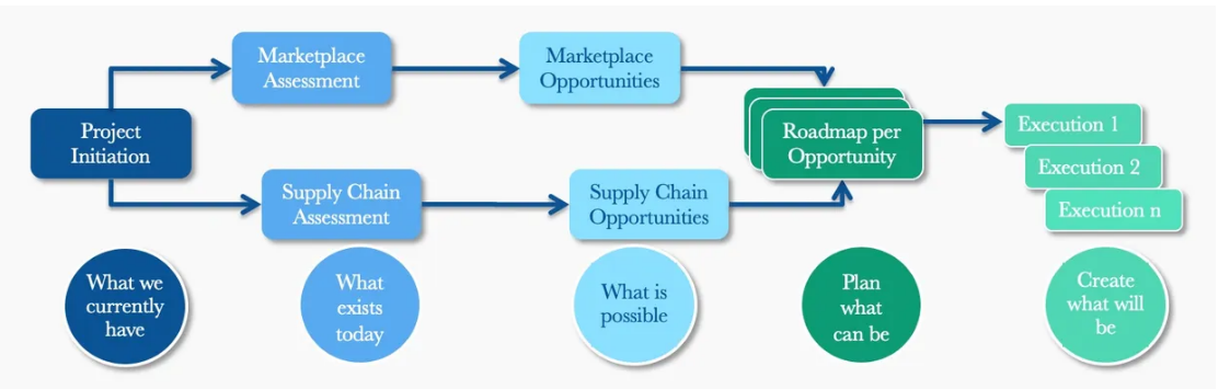 Affirmative Inquiry and Fast Track process diagram showing Project Initiation through Marketplace and Supply Chain Assessment to Execution phases
